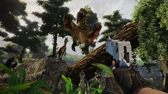 Thumbnail 5