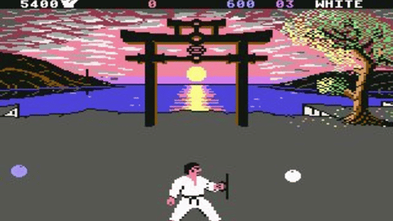 International Karate + Screenshot