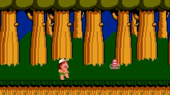 Hudson's Adventure Island Screenshot