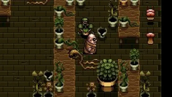 Screenshot 12