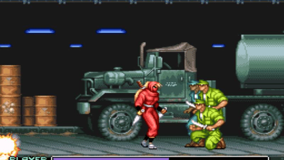 Ninja Warriors Screenshot