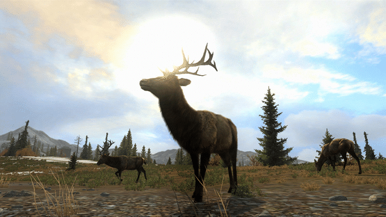 Cabela's Big Game Hunter: Pro Hunts Screenshot