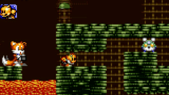 Tails Adventure Screenshot