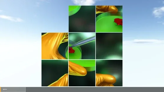 Dinosaur Hunt Puzzle screenshot 6