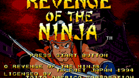 Revenge of the Ninja Screenshot