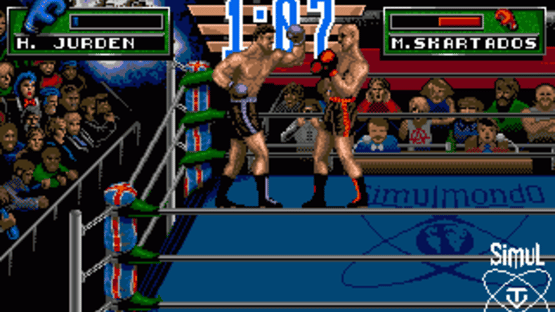 3D World Boxing Screenshot