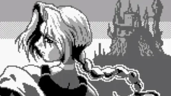 Thumbnail 12