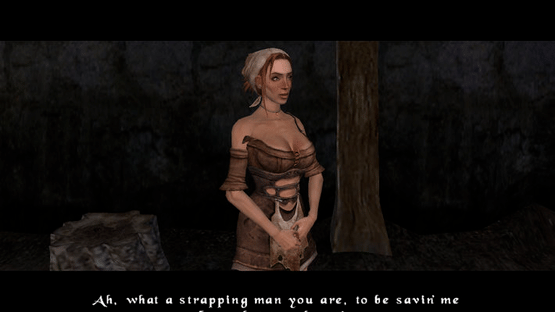 The Bard's Tale Screenshot