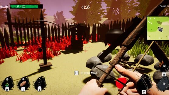 Forests of Augusta cover