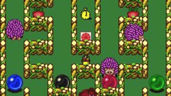 Chew-Man-Fu Screenshot