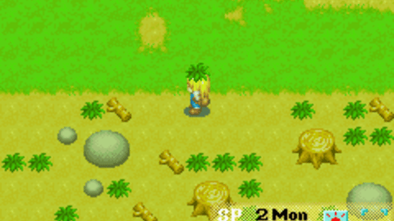 Harvest Moon: More Friends of Mineral Town Screenshot