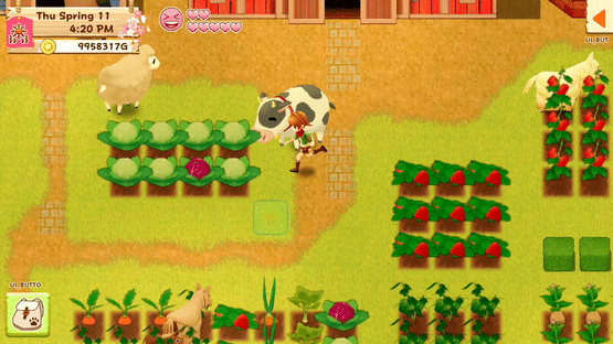 Harvest Moon: Light of Hope Screenshot