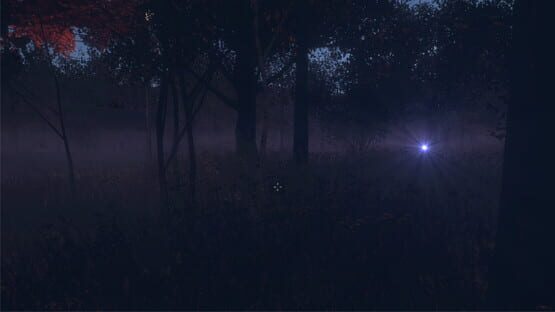 Rothschild: The Sheep Will Wake cover