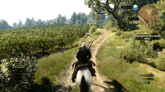 The Witcher 3: Wild Hunt - Hearts of Stone Screenshot