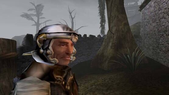 Képernyőkép erről: The Elder Scrolls III: Morrowind - Game of the Year Edition
