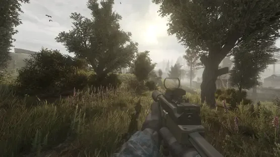 Thumbnail 12