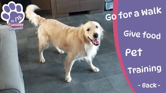 Golden Retriever Simple Life screenshot 1