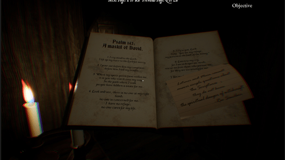 1711 Ireland: A Witch's Fate Screenshot