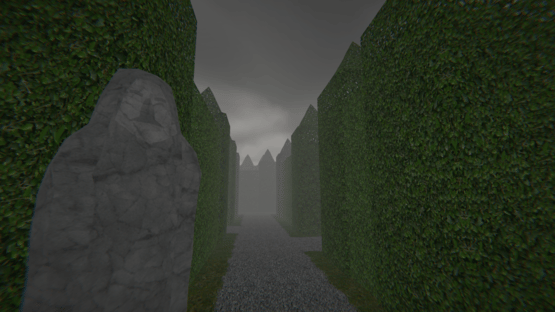 Project Maze Screenshot