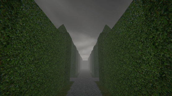 Project Maze Screenshot