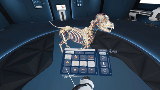 Animal Anatomy VR Screenshot