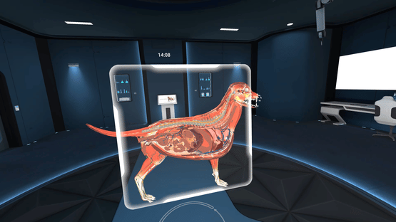 Animal Anatomy VR Screenshot