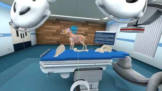 Animal Anatomy VR screenshot 1