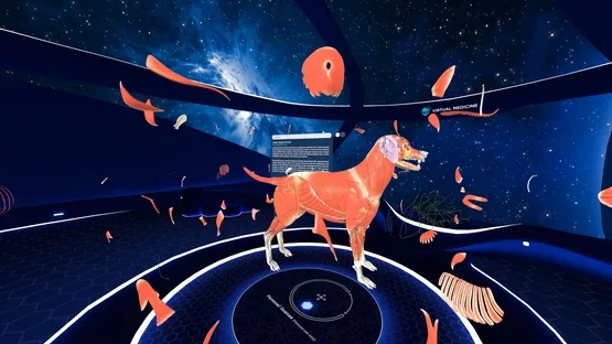 Animal Anatomy VR screenshot 4