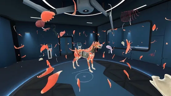 Animal Anatomy VR screenshot 6