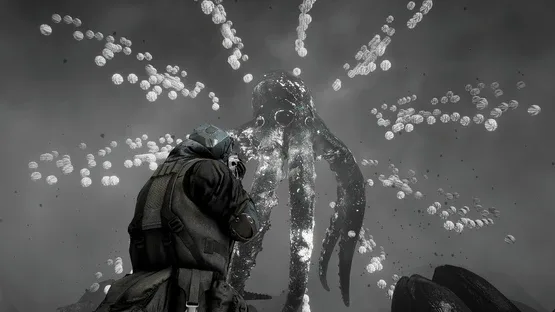 Thumbnail 14