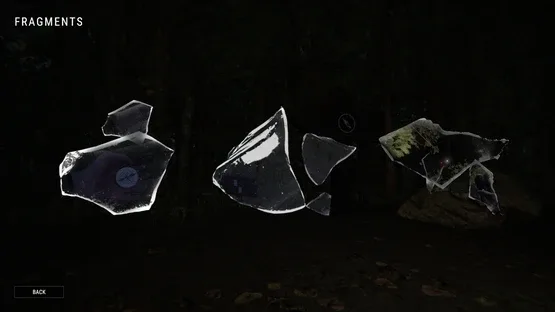 Fragments screenshot 14