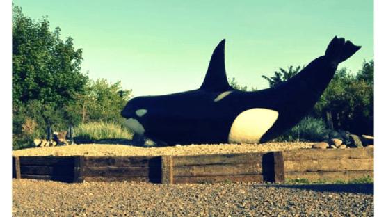 Where is 2015? Screenshot