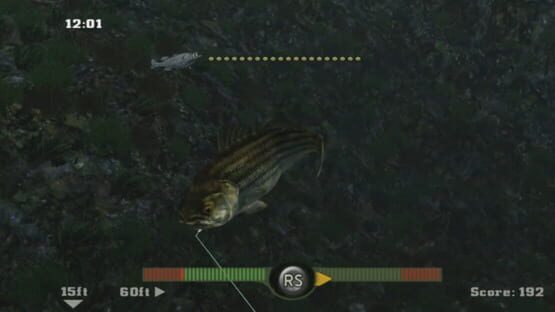 Rapala Fishing Frenzy 2009 screenshot 1