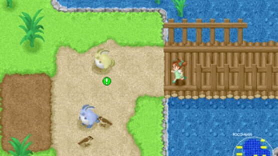 Fushigi na Mori no Pokora kuvakaappaus 2