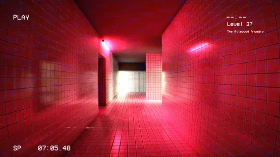 Level 37: The Ritewood Anomaly screenshot 1