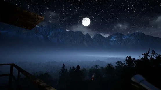 Thumbnail 15