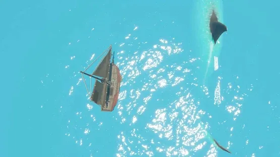 Nero screenshot 3