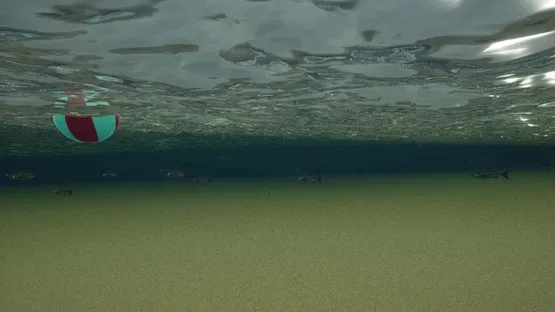 King Crab screenshot 8