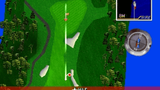 Tecmo World Golf Screenshot