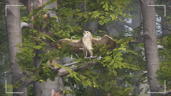 Eco Volunteer screenshot 14