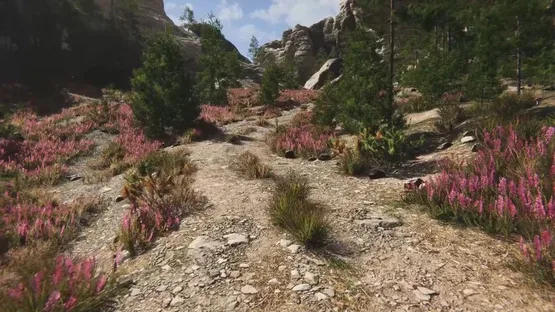 Eco Volunteer screenshot 24