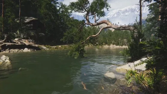 Eco Volunteer screenshot 19