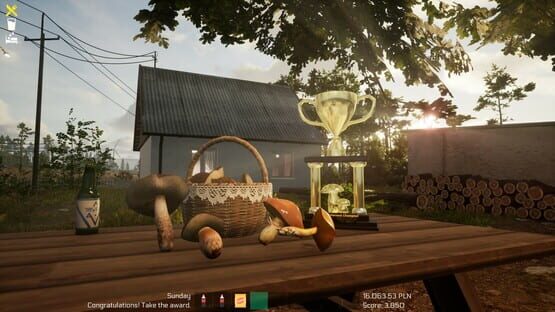 screenshot 31