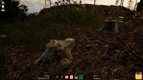 Mushroom Season screenshot 3
