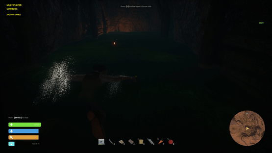 Multiplayer Cowboys Screenshot