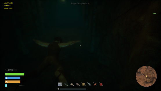 Multiplayer Cowboys Screenshot