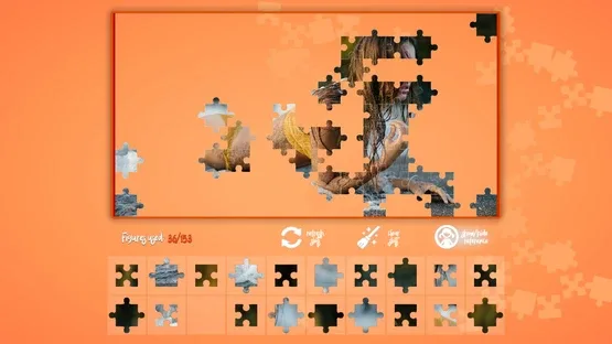 Thumbnail 8