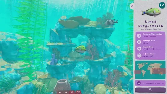 Turquoise screenshot 3
