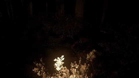 Shroud of the Woods screenshot 6