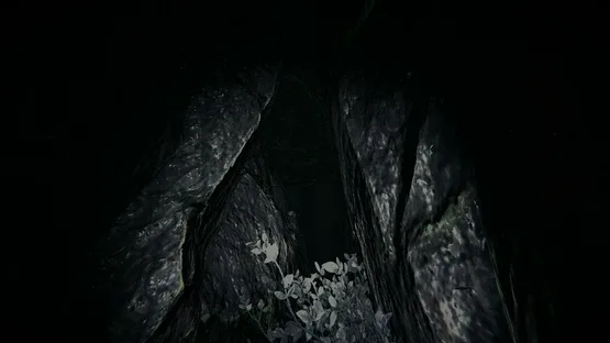Shroud of the Woods screenshot 3